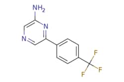 eMolecules​&nbsp;6-(4-(Trifluoromethyl)phenyl)pyrazin-2-amine | 1159819-32-5 | MFCD12033131 | 250mg