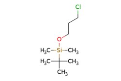 eMolecules​ tert-Butyl(3-chloropropoxy)dimethylsilane | 89031-82-3 | MFCD09909983