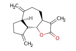 eMolecules​ Dehydrocostus lactone | 477-43-0 | MFCD00210277 | 10mg