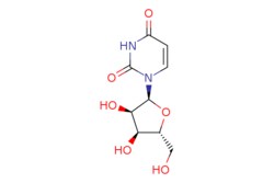 eMolecules​&nbsp;1-(a-D-ribofuranosyl)uracil | 3258-07-9 | MFCD17430297 | 1g