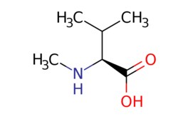 eMolecules​ N-Methyl-L-valine | 2480-23-1 | MFCD00037754 | 1g, Quantity: