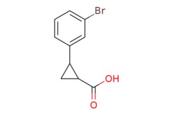 eMolecules​ 2-(3-Bromophenyl)cyclopropanecarboxylic acid | 91445-84-0 | MFCD11895900 | 1g