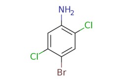eMolecules​&nbsp;Ambeed / 4-Bromo-25-dichloroaniline / 1g / 490541461 / A239512 /  / 1940-27-8 / MFCD08444535 / 240.910 / C6H4BrCl2N
