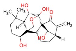 eMolecules​&nbsp;28957-04-2 | (1??,6??,7??,14R)-1,5,6,14-Tetrahydroxy-4,4-dimethyl-8-methylenedecahydro-1H-6,11b-(epoxymethano)-6a,9-methanocyclohepta[a]naphthalen-7(8H)-one |  MFCD00221762 | 100mg