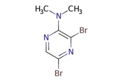 eMolecules​ 3,5-Dibromo-N,N-dimethylpyrazin-2-amine | 84539-07-1 | MFCD09842809