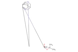 eMolecules​ 227940-71-8 | tert-Butyl 7-benzyl-3,7-diazabicyclo[3.3.1]nonane-3-carboxylate
