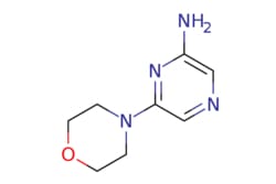 eMolecules​ 6-Morpholinopyrazin-2-amine | 717847-03-5 | MFCD05722015 | 1g