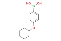 eMolecules​ (4-(Cyclohexyloxy)phenyl)boronic acid | 570398-88-8 | MFCD08701752 | 1g