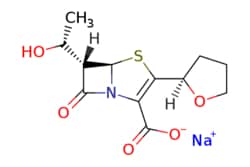 eMolecules​ Faropenem sodium | 122547-49-3 | MFCD01682061 | 5mg, Quantity: