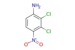eMolecules​ 2,3-Dichloro-4-nitroaniline | 69951-03-7 | MFCD11226295 | 1g,
