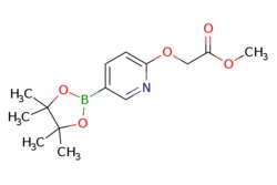eMolecules​ Methyl 2-((5-(4,4,5,5-tetramethyl-1,3,2-dioxaborolan-2-yl)pyridin-2-yl)oxy)acetate