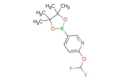 eMolecules​&nbsp;2-(Difluoromethoxy)-5-(4,4,5,5-tetramethyl-1,3,2-dioxaborolan-2-yl)pyridine | 1333222-12-0 | MFCD18909371 | 1g