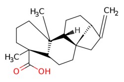 eMolecules​ Kaurenoic acid | 6730-83-2 | MFCD28978039 | 5mg, Quantity: