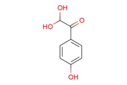 eMolecules​ 2,2-Dihydroxy-1-(4-hydroxyphenyl)ethanone | 197447-05-5 | MFCD14706138