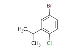 eMolecules​&nbsp;5-Bromo-2-chloroisopropylbenzene | 90350-28-0 | MFCD11845957 | 1g