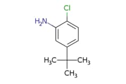 eMolecules​ 2-Chloro-5-tert-butylaniline | 918445-56-4 | MFCD11846051 |