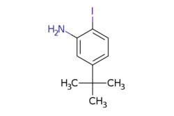 eMolecules​ 1160573-98-7 | 2-Iodo-5-tertbutylaniline | Oakwood Chemical