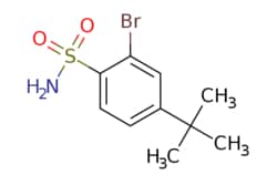 eMolecules​ 4-tert-butyl-2-bromobenzene sulfonamide | 99177-40-9 | MFCD12026249