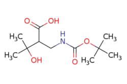 eMolecules​ 1233513-26-2 | 2-(Boc-Aminomethyl)-3-hydroxy-3-methylbutanoic
