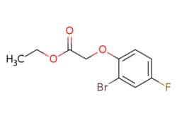 eMolecules​&nbsp;Ethyl (2-bromo-4-fluorophenoxy)acetate | 1842-10-0 | MFCD11174614 | 1g