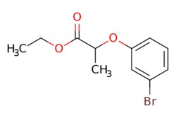 eMolecules​ Ethyl 2-(3-bromophenoxy)propanoate | 401791-40-0 | MFCD16089525