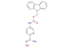eMolecules​ 5-(Fmoc-amino)pyridine-2-carboxamidoxime | | MFCD28166157 |