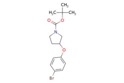 eMolecules​ tert-butyl 3-(4-bromophenoxy)pyrrolidine-1-carboxylate | 1159825-42-9