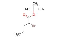 eMolecules​ tert-Butyl 2-bromopentanoate | 55424-42-5 | | 1g, Quantity: