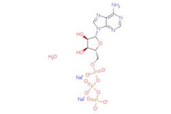 eMolecules​ Adenosine 5'-triphosphate disodium salt hydrate from microbial source, min. 99% (HPLC) | 34369-07-8 |  | 1g