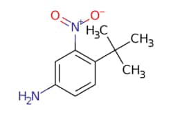 eMolecules​ 4-tert-butyl-3-nitroaniline | 31951-12-9 | MFCD00087990 | 5g,