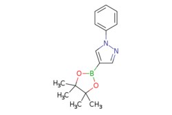 eMolecules​&nbsp;1-PHENYL-4-(4,4,5,5-TETRAMETHYL-1,3,2-DIOXABOROLAN-2-YL)-1H-PYRAZOLE | 1002334-12-4 | MFCD12400941 | 1g