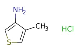 eMolecules​ 24030-00-0 | 4-Methyl-3-ThiophenaMine HYDROCHLORIDE | MFCD18074431