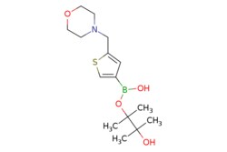eMolecules​ 2-(Morpholin-4-ylmethyl)thiophene-4-boronic acid,pinacol ester | 364794-85-4 |  | 1g