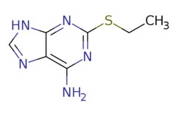 eMolecules​ 2-(Ethylthio)-9H-purin-6-amine | MFCD20661932 | 1g, Quantity: