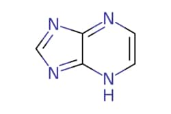 eMolecules​ 1H-IMIDAZO[4,5-B]PYRAZINE | 273-94-9 |  | 1g