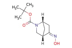 eMolecules​&nbsp;tert-butyl 5-(hydroxyimino)-2-azabicyclo[2.2.1]heptane-2-carboxylate | 207405-61-6 | MFCD09040746 | 1g
