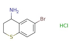 eMolecules​ 6-bromothiochroman-4-amine hydrochloride | 1170470-60-6 | MFCD09835500