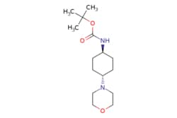 eMolecules​ tert-butyl(1r,4r)-4-morpholinocyclohexylcarbamate |  | MFCD27978480 | 1g