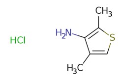 eMolecules​&nbsp;2,4-dimethylthiophen-3-amine hydrochloride | 2099705-25-4 |  | 5g