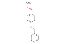 eMolecules​&nbsp;Benzyl-(4-Ethoxy-Phenyl)-Amine | 72753-31-2 | MFCD01475048 | 250mg