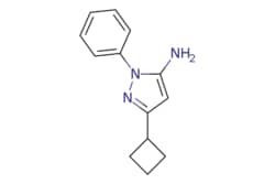 eMolecules​ 3-cyclobutyl-1-phenyl-1H-pyrazol-5-amine | 187795-44-4 | MFCD11105318