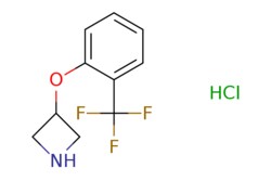 eMolecules​&nbsp;3-(2-Trifluoromethyl-phenoxy)-azetidine hydrochloride | 82622-46-6 | MFCD11849028 | 5g