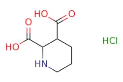 eMolecules​ Piperidine-2,3-dicarboxylic acid hydrochloride | 2379651-40-6