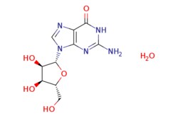 eMolecules​ 1143525-19-2 | Guanosine hydrate | J & W PharmLab LLC | MFCD00149584