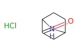 eMolecules​ 7-Aza-bicyclo[2.2.1]heptan-2-one hydrochloride | 2305079-35-8