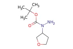 eMolecules​&nbsp;N-(Tetrahydro-furan-3-yl)-hydrazinecarboxylic acid tert-butyl ester | 1557475-42-9 | MFCD28634338 | 1g