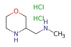 eMolecules​&nbsp;Methyl-morpholin-3-ylmethyl-amine dihydrochloride | 2305079-48-3 |  | 1g