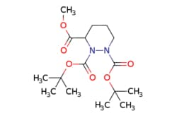 eMolecules​&nbsp;Tetrahydro-pyridazine-1,2,3-tricarboxylic acid 1,2-di-tert-butyl ester 3-methyl ester | 1161001-03-1 |  | 1g