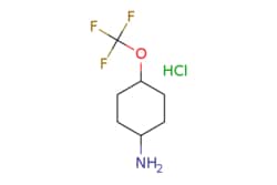 eMolecules​ 4-Trifluoromethoxy-cyclohexylamine hydrochloride | 2376143-28-9