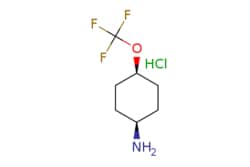 eMolecules​&nbsp;cis-4-Trifluoromethoxy-cyclohexylamine hydrochloride | 2376143-29-0 |  | 1g
